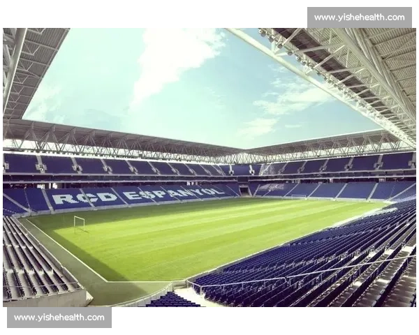 西甲联赛全景解析与顶级球队球星风采盘点 - 副本